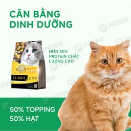 Hạt cho mèo S2PET V1, đạm cao 32%, 50% topping, thúc đẩy tiêu hóa, dưỡng da lông - MÉO CHÒ UNI 4