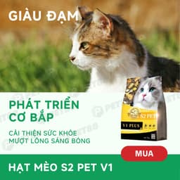 Hạt cho mèo S2PET V1, đạm cao 32%, 50% topping, thúc đẩy tiêu hóa, dưỡng da lông - MÉO CHÒ UNI 3