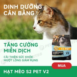 Hạt cho mèo S2PET V2, đạm cao 32%, 70% topping,  hỗ trợ tiêu búi lông - MÉO CHÒ UNI 7