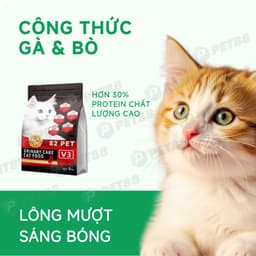 Hạt cho mèo S2PET V3 Urinary gói 5KG siêu topping, chăm sóc tiết niệu, đẩy búi lông - MÉO CHÒ UNI 4