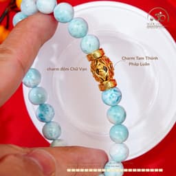 Ngọc Đan Tâm - Vòng Tay Larima 9mm 5A Phối Charm Tam Thánh Pháp Luân - Mệnh Thuỷ & Mệnh Mộc 2