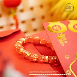 Ngọc Đan Tâm - Vòng Tay Hồng Nhật Vận VIP 8-9mm Chối Charm - Mệnh Hoả & Mệnh Thổ 5