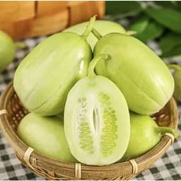 Hạt giống Dưa Chuột Leo Ngọc Nữ F1 Siêu Đậu Quả, Sai Trái, Ăn Giòn, Ngọt, Dễ Trồng - Hạt Giống Nhà Nông 6