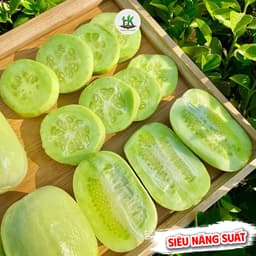 Hạt giống Dưa Chuột Leo Ngọc Nữ F1 Siêu Đậu Quả, Sai Trái, Ăn Giòn, Ngọt, Dễ Trồng - Hạt Giống Nhà Nông 2