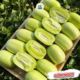 Hạt giống Dưa Chuột Leo Ngọc Nữ F1 Siêu Đậu Quả, Sai Trái, Ăn Giòn, Ngọt, Dễ Trồng - Hạt Giống Nhà Nông 1