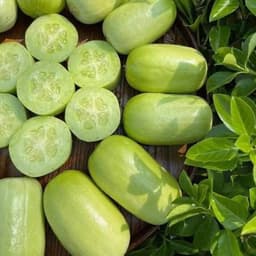 Hạt giống Dưa Chuột Leo Ngọc Nữ F1 Siêu Đậu Quả, Sai Trái, Ăn Giòn, Ngọt, Dễ Trồng - Hạt Giống Nhà Nông 5
