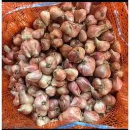 1Kg Hành Ta,Hành Kinh Môn Hải Dương,hành khô 70% đều đẹp ăn thơm ngon 5