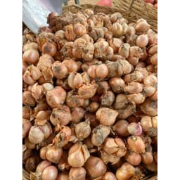 1Kg Hành Ta,Hành Kinh Môn Hải Dương,hành khô 70% đều đẹp ăn thơm ngon 3