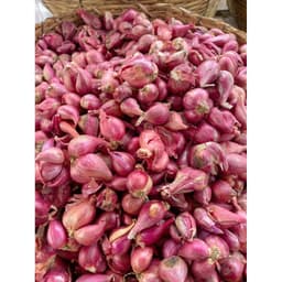 1Kg Hành Tím Lý Sơn, Hành Khô Đẹp Củ To, Hành Rất Thơm Ngon 2