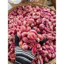 1Kg Hành Tím Lý Sơn, Hành Khô Đẹp Củ To, Hành Rất Thơm Ngon 1