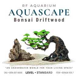 Layout Thuỷ Sinh Bonsai Ver.7 | Layout Thuỷ Sinh Trang Trí Bể Cá Thêm Xanh Mát | RF Aquarium 1