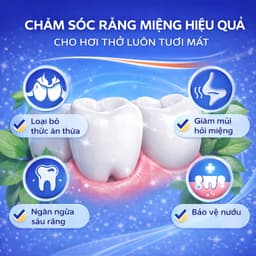 Combo 9 Hộp 450 Chiếc Tăm Chỉ Nha Khoa, Vệ Sinh Sạch Sẽ Kẽ Răng Chân Nướu Chăm Sóc Răng Miệng - GD38 5