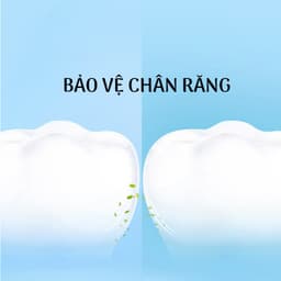 Combo 9 Hộp 450 Chiếc Tăm Chỉ Nha Khoa, Vệ Sinh Sạch Sẽ Kẽ Răng Chân Nướu Chăm Sóc Răng Miệng - GD38 8