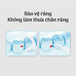Combo 9 Hộp 450 Chiếc Tăm Chỉ Nha Khoa, Vệ Sinh Sạch Sẽ Kẽ Răng Chân Nướu Chăm Sóc Răng Miệng - GD38 9