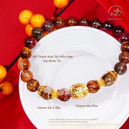Ngọc Đan Tâm - Vòng Tay Thạch Anh Tóc Hỗn Hợp Vip 8mm 7A Phối Charm Mai Rùa - Đa Mệnh 2