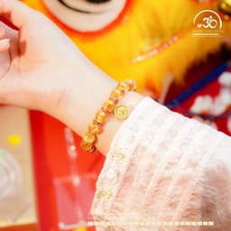 Ngọc Đan Tâm - Vòng Tay Thạch Anh Tóc Vàng Đồng Trục Vip 9mm Phối Charm - Mệnh Kim & Mệnh Thổ 4