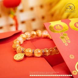 Ngọc Đan Tâm - Vòng Tay Thạch Anh Tóc Vàng Đồng Trục Vip 9mm Phối Charm - Mệnh Kim & Mệnh Thổ 7