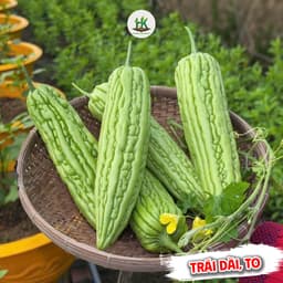 [GÓI 10 HẠT] Hạt giống Khổ Qua (Mướp Đắng) F1 Trái To, Năng Suất Cao, Trồng Quanh Năm - Hạt Giống Nhà Nông 1