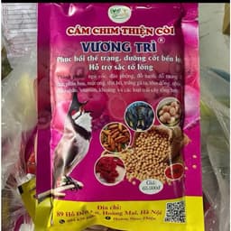 Combo 3 Gói Cám Vương Trì 1 Thiện Còi 200Gr Giúp Chim Căng Lửa Bền Bỉ Thi Đấu Chính hãng 2