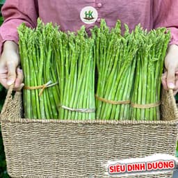 Hạt Giống Măng Tây F1 Dễ Trồng Giàu Dinh Dưỡng, Nảy mầm tốt, ít sâu bệnh, năng suất cao - Hạt Giống Nhà Nông 2