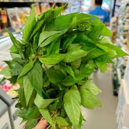 Hạt giống Rau Đay Đỏ F1 Gói 2000 Hạt Siêu khoẻ ,dễ trồng, ít sâu bệnh, trồng quanh năm - Hạt Giống Nhà Nông 4