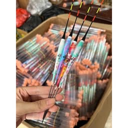 Phao Rô Điện loang Minh Hải đổi màu - không đổi màu câu đài tự nhiên rô diếc chép 2