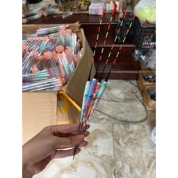 Phao Rô Điện loang Minh Hải đổi màu - không đổi màu câu đài tự nhiên rô diếc chép 5