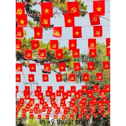 BÁN SỈ Dây Cờ Đảng – Cờ Tổ Quốc 10m | Dây Cờ Trang Trí Sự Kiện, Quán Cafe, Lễ Hội | In 2 Mặt Cao Cấp 7