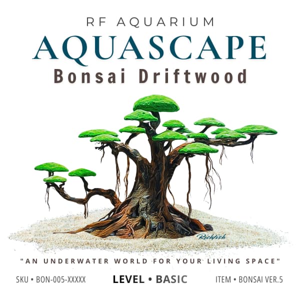 Mẫu Layout Bonsai Ver.5 | Dòng Layout Thuỷ Sinh Thuỷ Sinh Cao Cấp Dễ Chăm Sóc | RF Aquarium