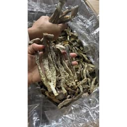 500gr Nấm Lộc Nhung Khô Thơm Ngon Giòn Bổ Dưỡng - Xào Rau củ Ăn Chay - Xào Lòng Gà 4