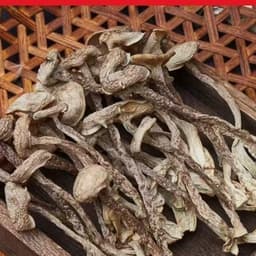 500gr Nấm Lộc Nhung Khô Thơm Ngon Giòn Bổ Dưỡng - Xào Rau củ Ăn Chay - Xào Lòng Gà 5