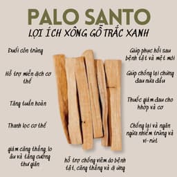 [Tarot Đồng Tâm] Palo Santo - Gỗ Trắc Xanh - Gỗ Thánh Peru, Xông Nhà Thanh Lọc Không Gian 2