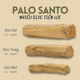 [Tarot Đồng Tâm] Palo Santo - Gỗ Trắc Xanh - Gỗ Thánh Peru, Xông Nhà Thanh Lọc Không Gian 3
