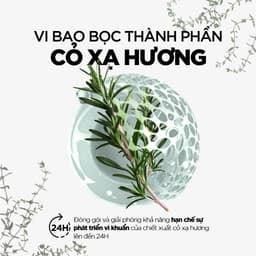 Dung Dịch Vệ Sinh Phụ Nữ Rogé Cavaillès PROTECTEUR (ANTI-BACTERIEN CŨ) - Giảm Ngứa, Viêm Nấm, Sạch Mùi 250ML 4