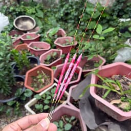 Phao rô Hồng Tuyết tải chì 0.8g 1.0g 1.2g câu cá tự nhiên báo nhạy cao 3