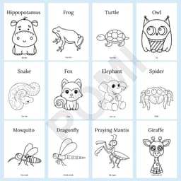 69 Hình Tô Màu Động Vật Cho Bé Tiếng Anh & Tiếng Việt - Đồ Chơi Giáo Dục Thông Minh Cho Bé - POMI 2