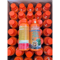 Siêu lớn trái dừa giúp trái lớn trái, to trái, đẹp trái, khắc phục nhọn trái, đạt chuẩn xuất khẩu chai 500ml 4