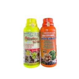 Combo Siêu đậu trái- Siêu lớn trái dừa tăng đậu trái, sai quả, lớn trái, tròn trái đạt chuẩn xuất khẩu 500ml 1