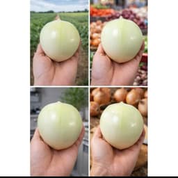 1Kg Hành Tây Phi Giòn Thơm Ngon, Vị Ngọt Thanh Dùng Để Ăn Với Bánh Tráng và Các Món Ăn Khác. Hành Phi Mới Mỗi Ngày 5