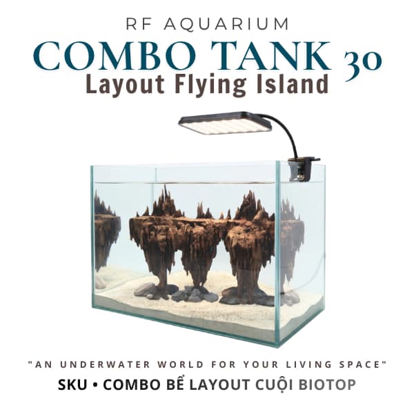 Bộ Combo Bể Cá Thuỷ Sinh 30cm | Layout Đảo Bay Đầy Đủ Đèn Lọc Và Cát Nền | RF Aquarium