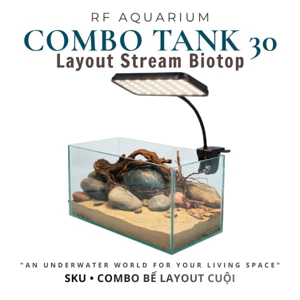 Bộ Combo Bể Shallow Tank 30cm | Layout Biotop Đá Cuội Đầy Đủ Đèn Lọc Và Sạn Nền | RF Aquarium