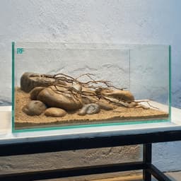Bộ Combo Bể Shallow Tank 30cm | Layout Biotop Đá Cuội Đầy Đủ Đèn Lọc Và Sạn Nền | RF Aquarium 3