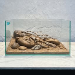 Bộ Combo Bể Shallow Tank 30cm | Layout Biotop Đá Cuội Đầy Đủ Đèn Lọc Và Sạn Nền | RF Aquarium 4