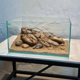 Bộ Combo Bể Shallow Tank 30cm | Layout Biotop Đá Cuội Đầy Đủ Đèn Lọc Và Sạn Nền | RF Aquarium 5