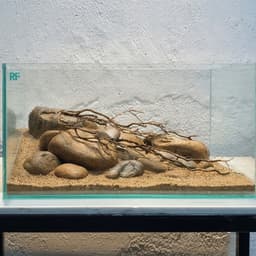 Bộ Combo Bể Shallow Tank 30cm | Layout Biotop Đá Cuội Đầy Đủ Đèn Lọc Và Sạn Nền | RF Aquarium 6