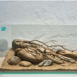 Bộ Combo Bể Shallow Tank 30cm | Layout Biotop Đá Cuội Đầy Đủ Đèn Lọc Và Sạn Nền | RF Aquarium 7