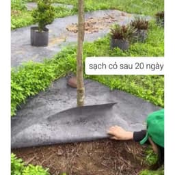 Combo 50 tấm bạt phủ 1m5x1m5 - 2mx2m - Vải địa kỹ thuật chống cỏ mọc 2