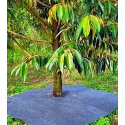 Combo 50 tấm bạt phủ 1m5x1m5 - 2mx2m - Vải địa kỹ thuật chống cỏ mọc 5