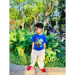(Có áo người lớn) Áo thun cho bé trai, bé gái in TRÁI CÂY chất cotton 4c mềm mịn 8