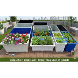 Chậu thông minh 45L có chân đế 64x44.5x22cm trồng rau, cây, chậu bể cá, khay rau nhựa dày cao cấp 2